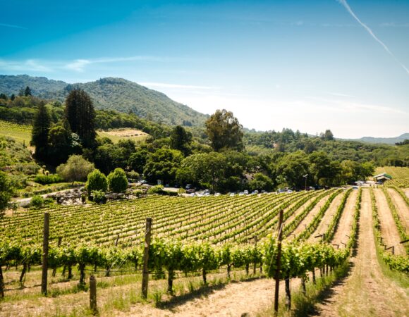 10 Best Wine Regions in the United States